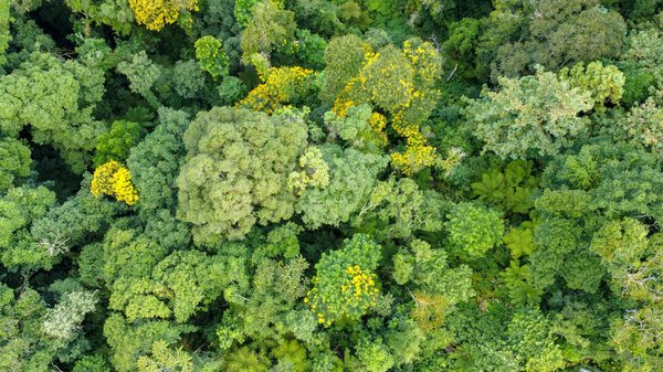 Attirer l'attention sur la réduction des déchets plastiques : approches novatrices et impactantes